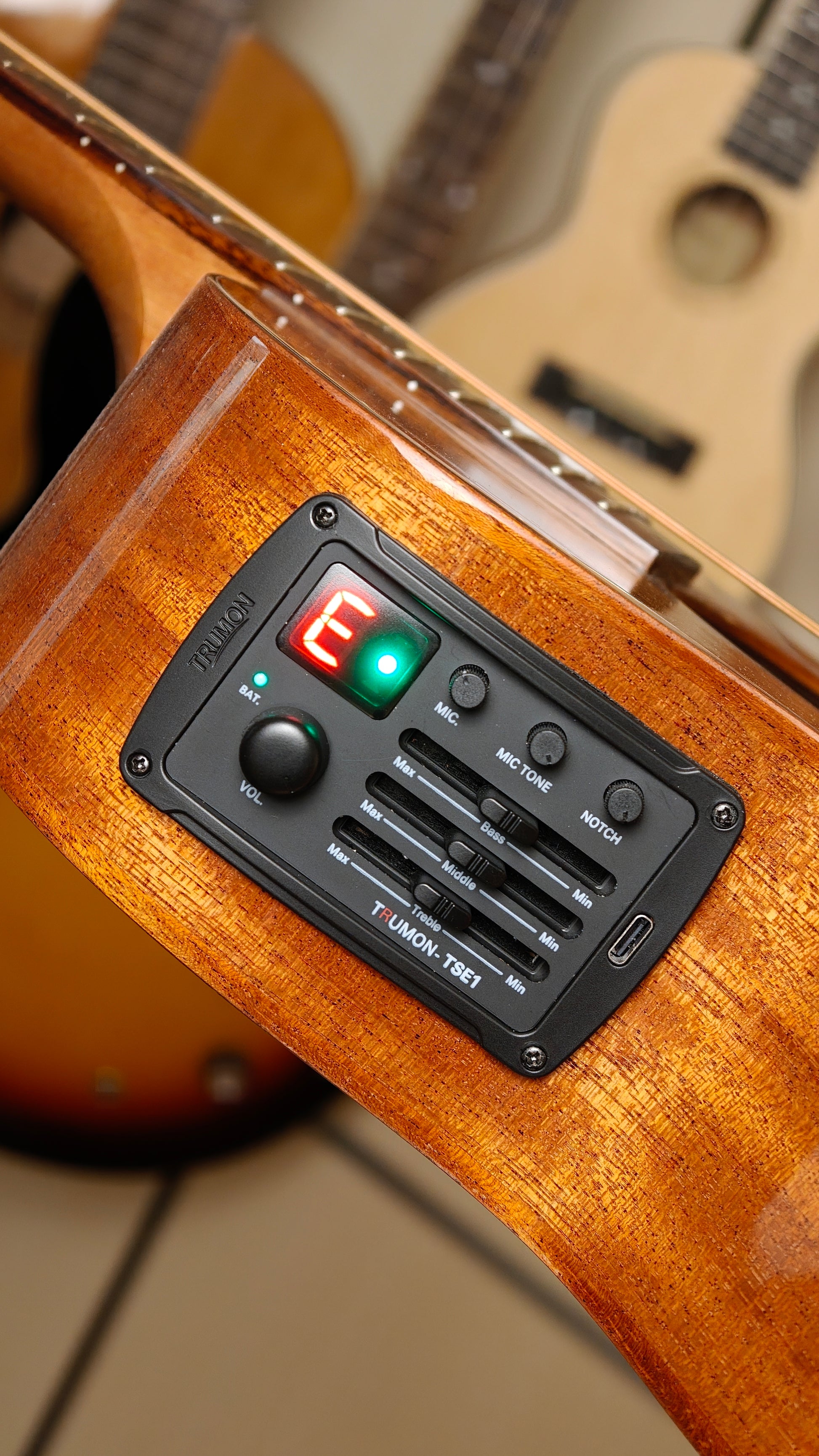 Close-up of the Trumon Tsmini15 guitar's pickup control panel, TSE1