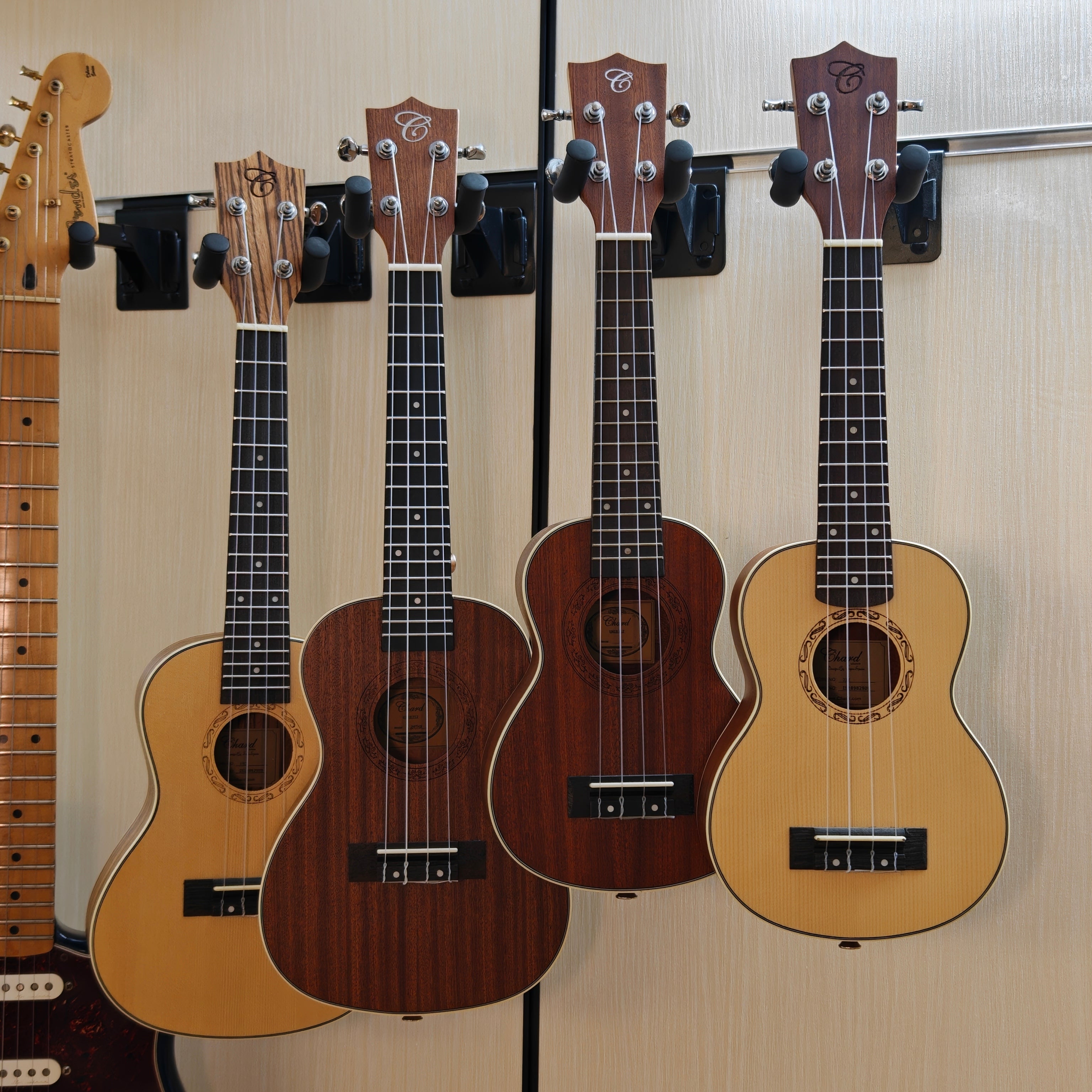 These are some 21inch and 24inch ukulele for rent at Tritone Music